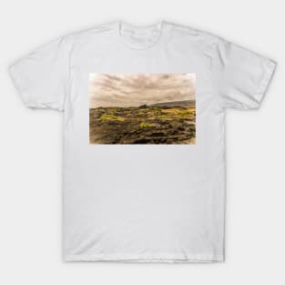 Landscapes In Volcano National Park T-Shirt